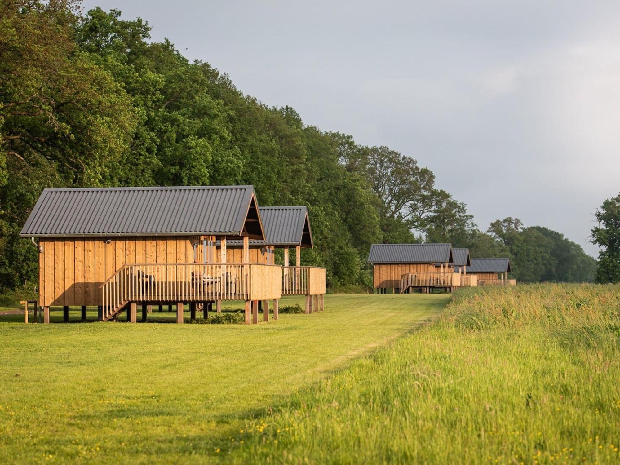 Composite Lodges With Shared Space In Drenthe Ruinerwold Exterior foto