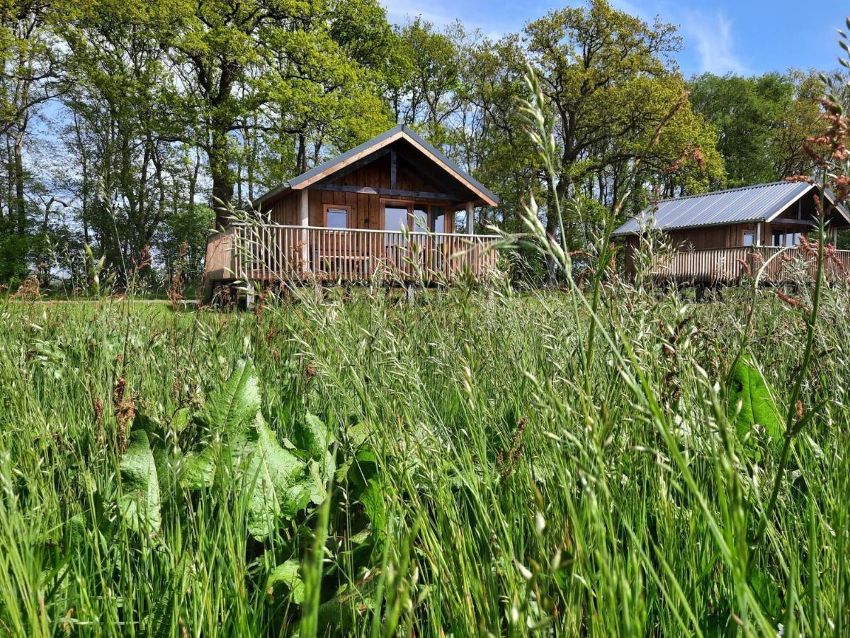 Composite Lodges With Shared Space In Drenthe Ruinerwold Exterior foto