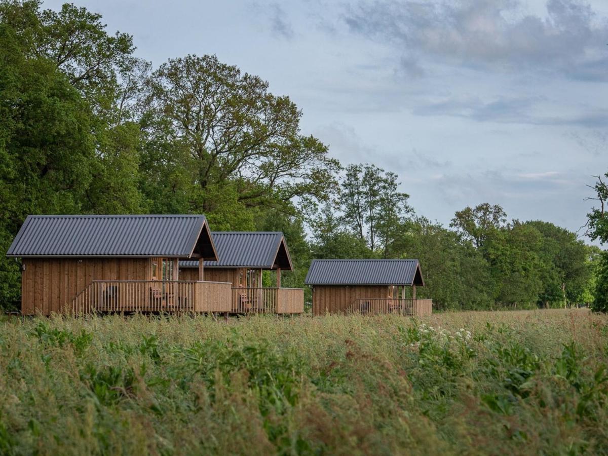 Composite Lodges With Shared Space In Drenthe Ruinerwold Exterior foto